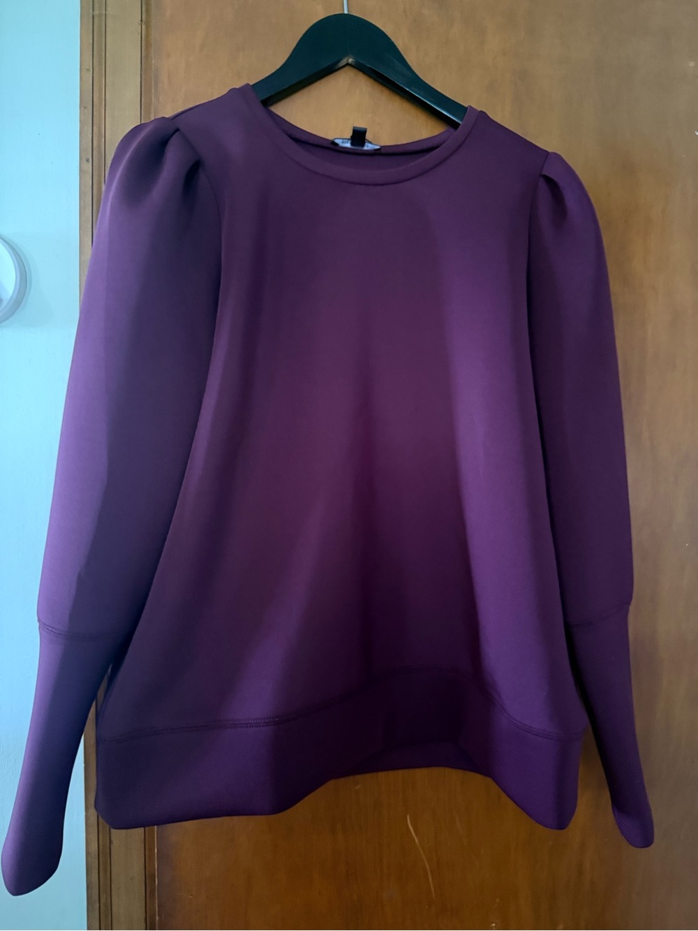 Stella & Dot Plum Puff-Sleeve Crewneck Sweatshirt